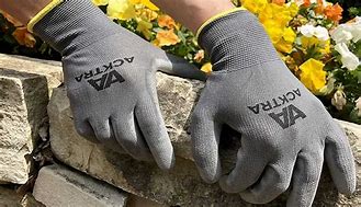 Image result for Thin Gloves
