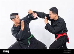 Image result for Silat Fighting