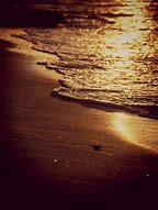 Image result for Sepia-Tone Aesthetic Art