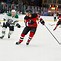 Image result for Ice Hockey Photography