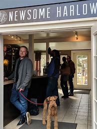 Image result for Newsome Harlow The Dash