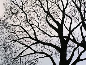 Image result for Black and White Tree Prints
