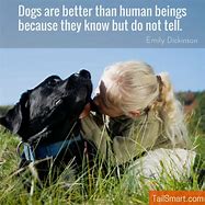 Image result for Dogs Are Better than Humans Quotes