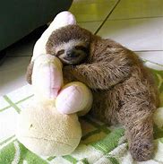 Image result for Stuffed Sloth Toy