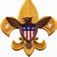 Image result for Boy Scouts of America Logo Patch