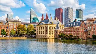 Image result for What to Do in Netherlands