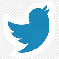 Image result for Light Blue Twitter Icon