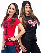 Image result for WWE The Bella Twins Dress