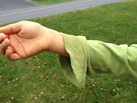 Image result for Chewed Sleeve of Top
