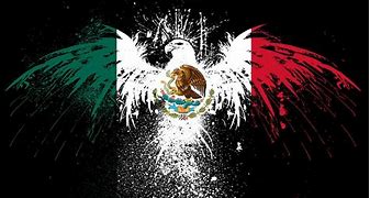 Image result for Mexico Soccer Background