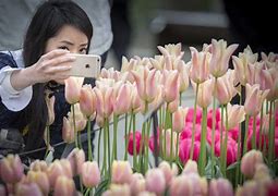 Image result for Cute Flower Selfies