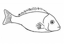 Image result for Black and White Stream Fishing Clip Art