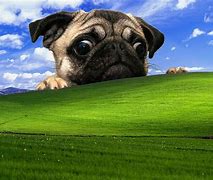 Image result for Windows XP Desktop Backgrounds 1920X1080