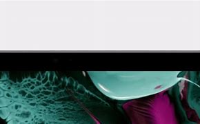 Image result for iPad Pro Silver vs Space Gray