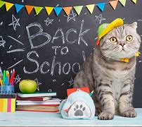 Image result for Back to School Cat