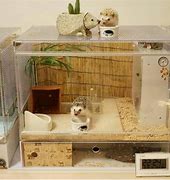 Image result for Hedgehog Habitat Cage