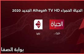 Image result for Al Hayah TV 20 20