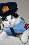 Image result for Police Officer Cat
