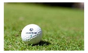 Image result for Golf Pics