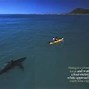 Image result for Top 10 Biggest Sea Creatures