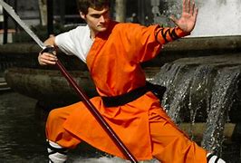 Image result for Deadliest Kung Fu Styles