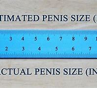 Image result for 12 in Ruler Actual Size