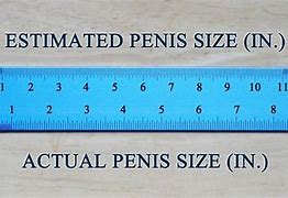 Image result for 12 Inch Ruler