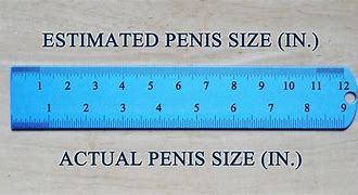 Image result for 11Cm in Inches