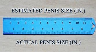 Image result for 0.3 Inches On Ruler