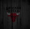 Image result for Chicago Bulls Logo Blue