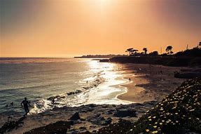 Image result for Beaches in Santa Cruz California