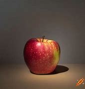 Image result for Apple Photography Lifestyle
