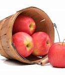 Image result for 6 Apple Fruit