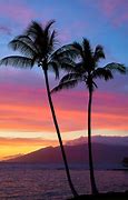 Image result for Hawaiian Beach Palm Trees Sunset