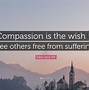 Image result for dalai lama compassion quotations