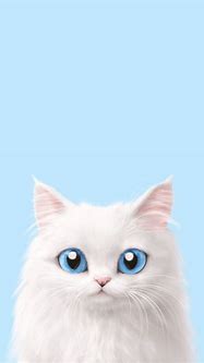 Image result for Cat iPhone Wallpaperpintrest