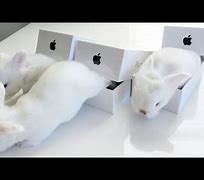 Image result for iPhone 15 Unboxing