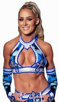 Image result for WWE Raw Michelle McCool