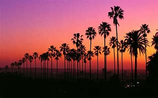 Image result for iPhone Wallpaper HD Los Angeles Beach