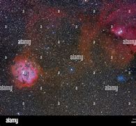 Image result for Christmas Tree Rosette Nebula