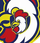 Image result for Chicken Sports Logo