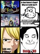 Image result for Fairy Tail Couples Meme