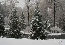 Image result for Grass Valley CA Snow