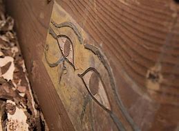 Image result for 4000 Year Old Real Tome Opening