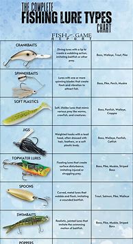 Image result for Bass Fishing Bait Chart