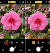 Image result for iPhone Advanced Camra