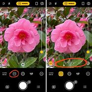 Image result for Adjust iPhone 6s Camera Resolution