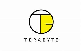 Image result for Terabyte Logo