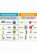 Image result for Homófonos