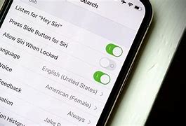 Image result for Toggle Cell Service iPhone Picture